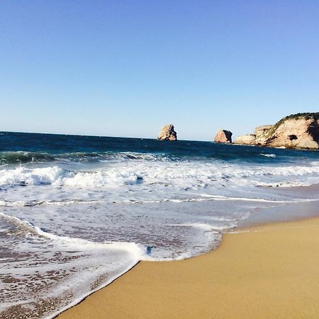 Luxury Apartment With Sea View In Hendaye Exteriör bild